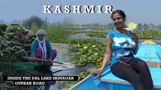 journey to beautiful place in Srinagar Dal Lake  Gupkar Road Srinagar  Good Morning Kashmir [upl. by Lokim23]