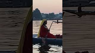 Kashmir Shikara  Dal Lake  Kashmir ki kali [upl. by Neraj]