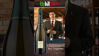 Scegliere il Vino  Franciacorta DOCG Brut Ferghettina [upl. by Emsoc]