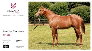 Arqana Trot 202308  N°490  M  Hohneck x Daffodil Jab présenté par le Haras Des Chardonnets [upl. by Jacenta759]