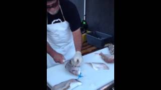 filleting fish FASTEST FILLETER IN THE WORLD [upl. by Akenn680]