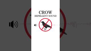 Crow Repellent Sound  Hawk sound and Ultrasonic Waves 20KHz Not compatible with iPhone [upl. by Adnaloj]