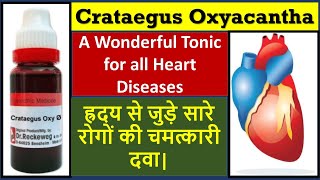 Crataegus oxyacantha homeopathic medicine  crataegus mother tincture  heart homeopathic medicine [upl. by Amilb]