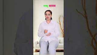 Vastu Shastra tips Hindi tips Why Is Vastu Shastra So Popular Right Now [upl. by Plotkin]