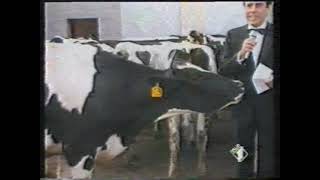 Teo Teocoli e Zuzzurro  Reportage sul Latte materno Emilio  1989 [upl. by Phio]