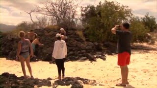 GALAPAGOS Surf Paradise Documentary [upl. by Finnie]