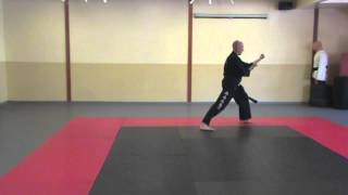 Choong Moo Tul  Sorce Martial Arts  TaekwonDo Form or pattern [upl. by Putscher]