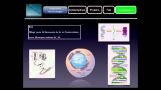 Basiskurs BiochemieChemie Nukleinsäuren Teil 1010 [upl. by Uehttam]