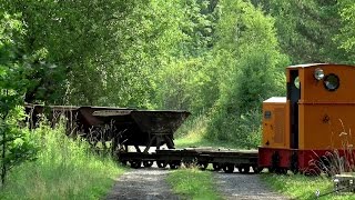 Eichenberger Waldbahn  Arbeitssonntag Juli 2015 [upl. by Hankins]