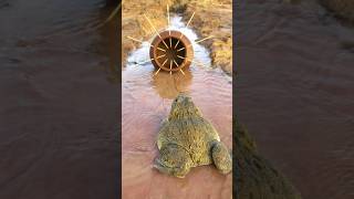 Survival Skills Simple and Useful with Clay Frog Trap survival bushcraft camping shrots [upl. by Anecuza]