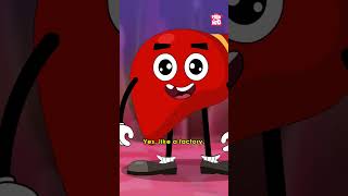 What Does The Liver Do  World Hepatitis day shorts worldhepatitisday liver drbinocsshow [upl. by Alusru]