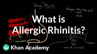 What is allergic rhinitis  Respiratory system diseases  NCLEXRN  Khan Academy [upl. by Oibaf]