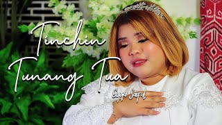 Tinchin Tunang Tua  Eyqa Saiful Official Music Video [upl. by Gathard]