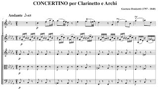 Gaetano Donizetti 17971848  Clarinet Concertino [upl. by Paley]