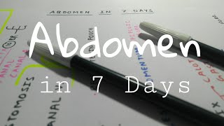 Abdomen Anatomy in 7 Days  The Charsi of Medical [upl. by Batchelor]