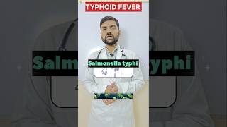 Typhoid Fever 🤒Treatment Typhoid Symptoms shorts viralvideo studentlife motivation neet [upl. by Olympias]