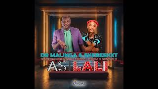 Dr Malinga amp Shebeshxt ft Seven StepLebza MfanaNaqua amp 1stLady k  Asilali Official audio [upl. by Royce462]