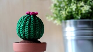 Tutorial Cactus rotondo amigurumi [upl. by Anirahs]