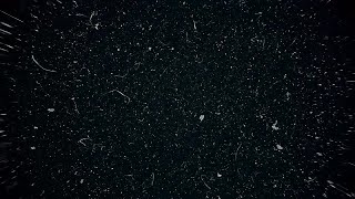 Dust Particles Blowing Black Background 4K 1 Hour v720P [upl. by Alexandros]