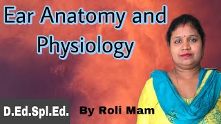 Ear anatomy and physiology  By Roli Mam specialeducation [upl. by Stroup]