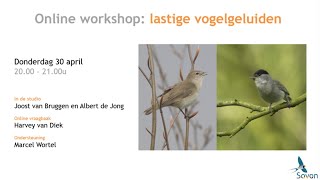 Online workshop lastige vogelgeluiden [upl. by Eceinahs]