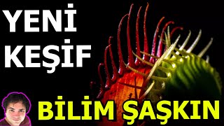 Yeni Keşif  Bilim Şaşkın  Bilim Haber 3 [upl. by Stockton]