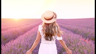 Provence Lavender Fields during sunset [upl. by Akimak622]