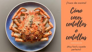 CÓMO COCER CENTOLLO O CENTOLLA🦀 Todos los TRUCOS para que te quede PERFECTO👩‍🍳 [upl. by Wallinga]