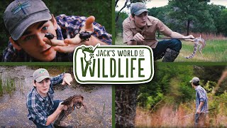 Jacks World Of Wildlife [upl. by Sorkin]