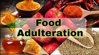 Food Adulteration test at home Chemistry Activity Class 9 [upl. by Einhapets]