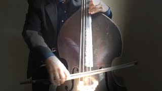 EMMANUEL Brody DelestreDouble bass [upl. by Kuehnel]