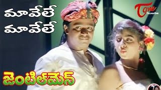 Gentleman Telugu Movie Songs  Maavele Maavele Video Song  Arjun  Madhubala [upl. by Graves]