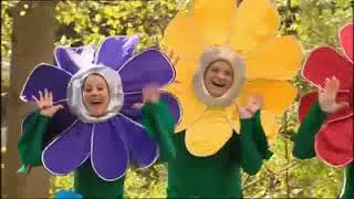 The Wiggles The Dancing Flowers Song TV Series 3 Song Video Reversed [upl. by Trisha396]