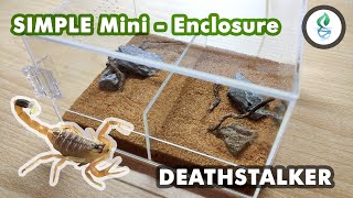 Deathstalker Scorpion Simple Enclosure Design Video [upl. by Stan]