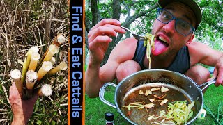 Best Way to Eat Cattails  Foraging Midwest Wild Edible Plants [upl. by Ninaj]