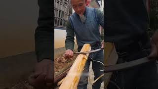 The process of peeling bark from a log [upl. by Neiviv160]