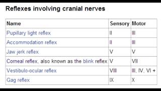 Cranial Nerve Reflexes  Corneal Lacrimation Jaw Jerk Pupillary amp Gag [upl. by Garson77]