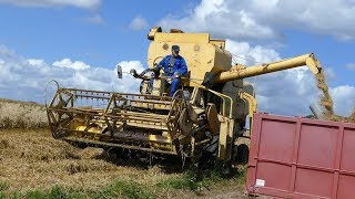 Clayson  Claeys M103 SelfPropelled Combine threshing Barley  Danish Agriculture [upl. by Esilram]