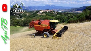 quotEXTREMEquot  New Holland 3560 AL  Agromeccanica Betti FabrianoAN [upl. by Plate]