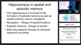 Hippocampal mechanisms of memory and cognition Part 1 [upl. by Carlynne963]