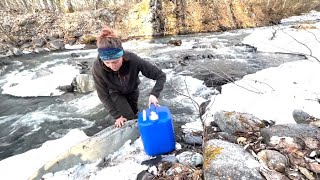 Farming at our Familys off grid homestead in Alaska Sowing the Seeds [upl. by Bouley544]