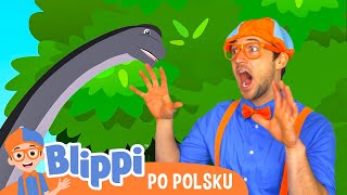 Safari dinozaurów z Blippi📙Blippi po polsku📙Nauka i zabawa dla Dzieci [upl. by Sancho]