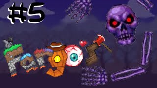 Terraria Fargor Souls Mod Eternity Mod 5 esqueletron [upl. by Florella338]