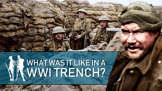 24 Hrs In The Trenches WW1 Documentary [upl. by Bobker991]