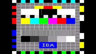 IBA Test Card 2 Mock [upl. by Anaidiriv]