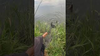 Here Is Seven Fishing At Beautiful Stagecoach Reservoir In Oak Creek Colorado Pike fishing fun [upl. by Triley]