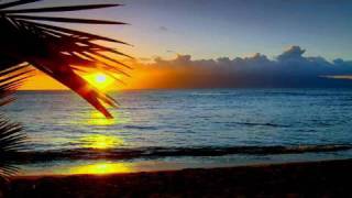 Sunset Serenity Relaxation Meditation with Ocean and Palm Tree Silhouette [upl. by Gnas]