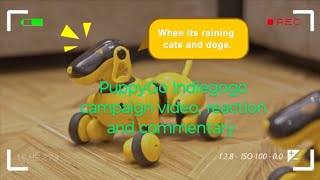 PuppyGo Indiegogo campaign video reaction and commentary puppygo robot dog pets ai robotdog [upl. by Aenitsirhc]