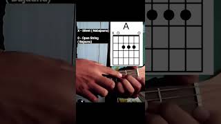 Chord Diagram Kasari Bajaune   Guitar Lesson chorddiagram chordpadne [upl. by Nadbus]