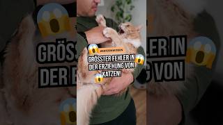 Größter Fehler in der Katzenerziehung 🤔 Und du bist SELBST Schuld katzenwissen katzenliebe [upl. by Robin]